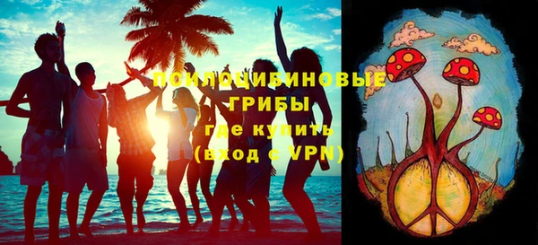 прущие крисы Арсеньев