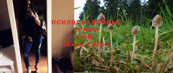 дживик Армянск