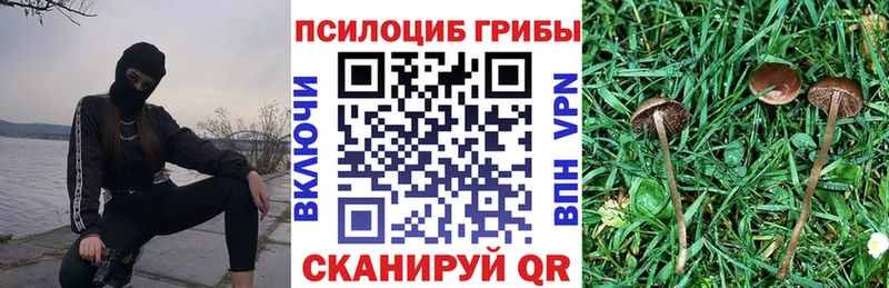 Псилоцибиновые грибы MAGIC MUSHROOMS  закладка  Кандалакша 