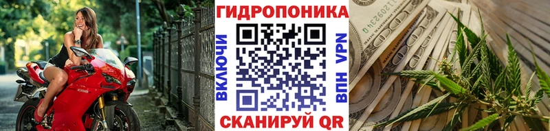 Марихуана планчик гидра tor Кандалакша закладка